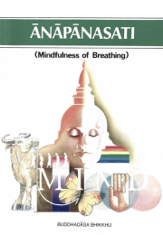 Anapanasati Mindfulness of Breathing
