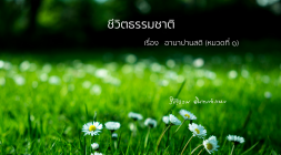 12. อานาปานสติ หมวดที่ 1 รูปภาพ 1