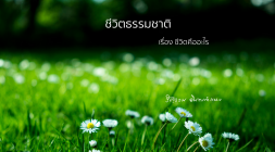 2. ชีวิตคืออะไร รูปภาพ 1