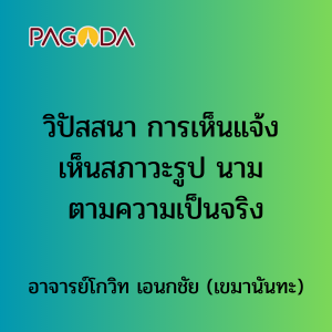 010 วิปัสสนา การเห็นแจ้ง เห็นสภาวะรูป นาม ตามความเป็นจริง รูปภาพ 1
