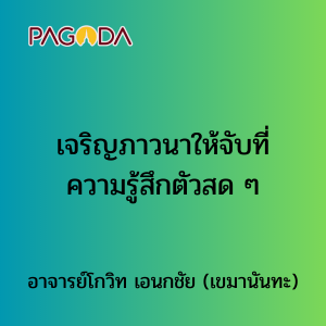 014 เจริญภาวนาให้จับที่ความรู้สึกตัวสด ๆ รูปภาพ 1