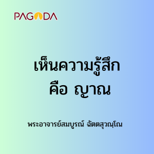 027 เห็นความรู้สึกคือญาณ รูปภาพ 1