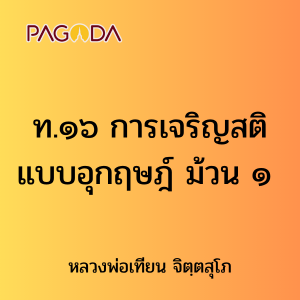 ท.๑๖ การเจริญสติแบบอุกฤษฎ์ ม้วน ๑ รูปภาพ 1