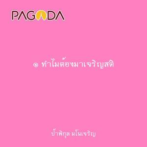 ๑ ทำไมต้องมาเจริญสติ รูปภาพ 1