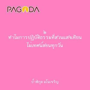 ๖ ทำไมการปฏิบัติธรรมที่สวนแสงเทียน ไม่เทศน์สอนทุกวัน รูปภาพ 1