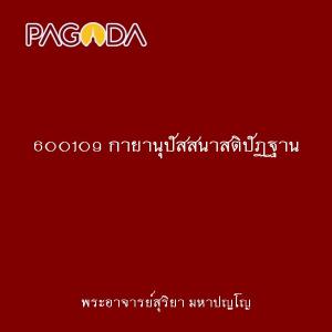 600109 กายานุปัสสนาสติปัฏฐาน รูปภาพ 1