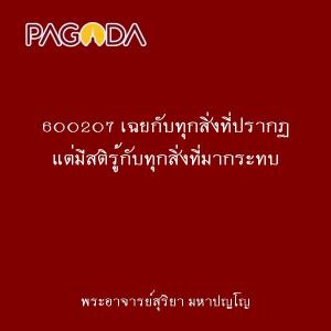 600207 เฉยกับทุกสิ่งที่ปรากฏ แต่มีสติรู้กับทุกสิ่งที่มากระทบ รูปภาพ 1