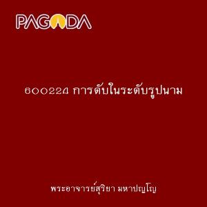 600224 การดับในระดับรูปนาม รูปภาพ 1