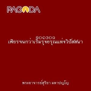 600309 เพียรจนกว่าเริ่มรุ่งอรุณแห่งวิปัสสนา รูปภาพ 1