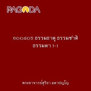 600405 ธรรมธาตุ ธรรมชาติ ธรรมดา 1-1 รูปภาพ 1