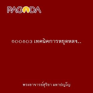 600803 เทคนิคการหยุดหลง... มุ่งตรงสู่การรู้แจ้ง รูปภาพ 1