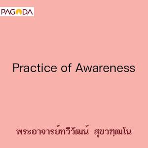 Practice of Awareness รูปภาพ 1