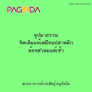 25670802_0558_อุปมาธรรม จิตเดิมแท้เหมือนปลาหมึก ห้องสวดมนต์เ ... รูปภาพ 1