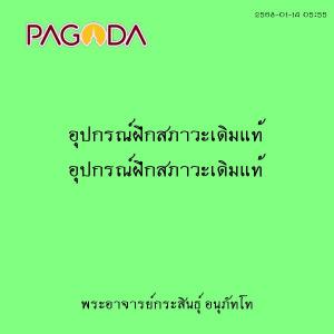 25680114_0555_อุปกรณ์ฝึกสภาวะเดิมแท้ รูปภาพ 1