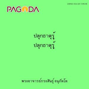 25680320_0615_ปลุกธาตุรู้ รูปภาพ 1