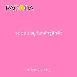 200311 อยู่กับหลักรู้สึกตัว รูปภาพ 1