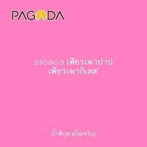 210403 เพียรเผาปาป เพียรเผากิเลส รูปภาพ 1