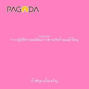 230619 การปฏิบัติธรรมเหมือนการพายเรือข้ามแม่น้ำใหญ่ รูปภาพ 1