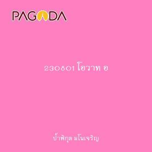 230801 โอวาท อ.ประภาภัทร ในวันอาสาฬหบูชา 2566 รูปภาพ 1