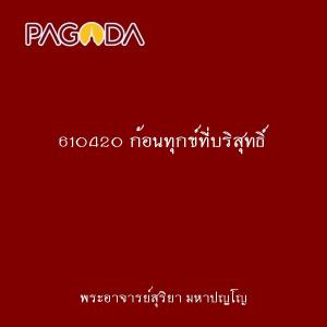 610420 ก้อนทุกข์ที่บริสุทธิ์ รูปภาพ 1