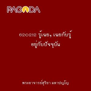 620212 รู้เฉยๆ เฉยกับรู้ อยู่กับปัจจุบัน รูปภาพ 1