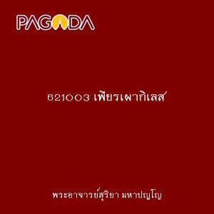 621003 เพียรเผากิเลส รูปภาพ 1