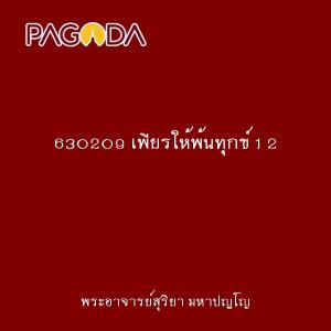 630209 เพียรให้พ้นทุกข์ 1 2 รูปภาพ 1