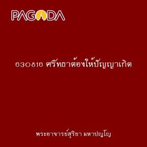 630816 ศรัทธาต้องให้ปัญญาเกิด รูปภาพ 1