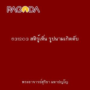 631203 สติรู้เห็น รูปนามเกิดดับ รูปภาพ 1