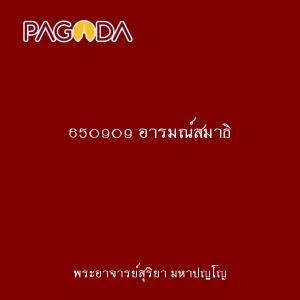 650909 อารมณ์สมาธิ รูปภาพ 1