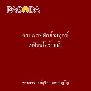 651107P ฝึกข้ามทุกข์ เหมือนโคข้ามน้ำ รูปภาพ 1