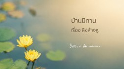 ลิงล้างหู รูปภาพ 1