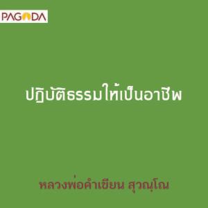 ปฏิบัติธรรมให้เป็นอาชีพ รูปภาพ 1