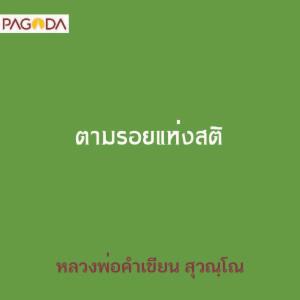 ตามรอยแห่งสติ รูปภาพ 1