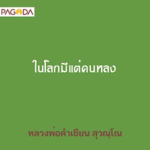 ในโลกมีแต่คนหลง รูปภาพ 1