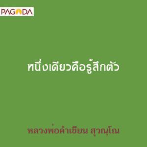 หนึ่งเดียวคือรู้สึกตัว รูปภาพ 1