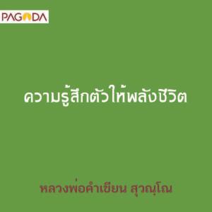 ความรู้สึกตัวให้พลังชีวิต รูปภาพ 1