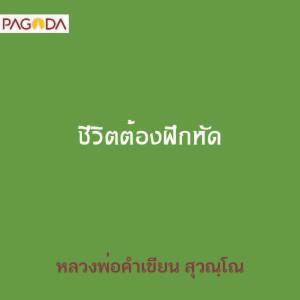 ชีวิตต้องฝึกหัด รูปภาพ 1