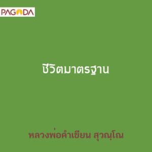 ชีวิตมาตฐาน รูปภาพ 1