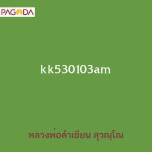 kk530103am รูปภาพ 1