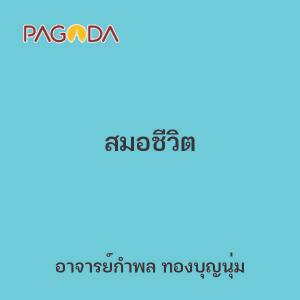 สมอชีวิต รูปภาพ 1