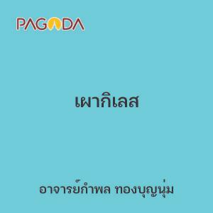 เผากิเลส รูปภาพ 1