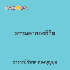 ธรรมดาของชีวิต รูปภาพ 1