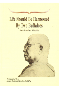 Life Should Be Harnnessed By Two Buffaloes รูปภาพ 1